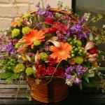Reference JBS  0110
Starting at $ 69.99 
Full lush basket of assorted mums, roses, alstromeria, gerbera daisies and seeded eucalyptus arrangement in a brown handled basket. Upgrades include additional roses and larger baskets.