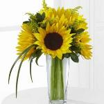 Reference # D9-4910
Starting at $ 44.99
The FTD® Sunshine Daydream™ Bouquet highlights stunning sunflowers to capture their every attention with its bright beauty. Gorgeous sunflowers are accented with solidago, lily grass blades and lush greens .
