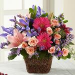 Reference # C3-5159
Starting at $ 54.95
Designed with an eye for detail, this bouquet blossoms with burgundy gerbera daisies, pink Asiatic Lilies, pink spray roses, blue iris, lavender stattice, and lavender monte casino asters, 
