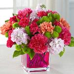 Reference # C8-5164
Starting at $ 43.99
Orange roses, hot pink carnations, orange carnations, pale pink gilly flower, hot pink mini carnations, green button poms, and lush greens are beautifully arranged in a raspberry pink glass cubed vase.