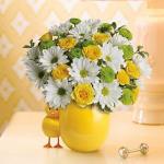 Reference #  T33-1B
Starting at $42.99
 This adorable bouquet will brighten any room with its beautiful blooms. Moms love the ceramic chick.  White daisies, yellow roses and green button spray chrysanthemums..