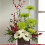 Reference # B13-5136
Starting at  $49.99
White gerbera daisies capture their attention at the base of this flower arrangement, with stems of green spider chrysanthemums, and red ilex berry stems extending upwards for a unique yuletide look. Accented with an assortment of Christmas greens and present