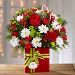 Reference #16-C2
Starting at $44.95
Rich red roses, red mini carnations, white chrysanthemums, green button poms, variegated holly, and an assortment of holiday greens are artistically arranged to blossom from a stylish red rectangular ceramic vase tied festive ribbon with Candy Canes included.