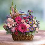 Reference #  t48-3B
Starting at $59.95
Pretty blooms of pink and purple nestle happily inside a natural gift basket as playful purple butterflies flutter overhead.