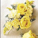 YELOOW SPRAY ROSES WITH MINI CARNATIONS $ 20.00 