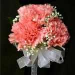 THREE PINK CARNATION WRISTLETTE $ 15.00 