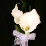 MINI CALLA LILY CORSAGE           $ 20.00