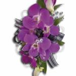 DENDROBIUM ORCHIDS WITH A LITTLE "BLING" $ 25.00 