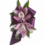 MINI CYMBIDIUM ORCHIDS               $ 23.50 