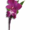 DOUBLE PURPLE DENDROBIUM ORCHIDS 
$ 13.00