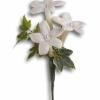 STEPHANOTIS TRIO $ 17.00     PLEASE ORDER 1 WEEK AHEAD 