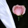 LARGE PINK ROSE 
 $ 10.00 