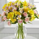 Reference # JBS 302
$ 44.95

Colorful arrangment of soft pink and yellow alstromeria and spray roses. Long lasting arrangement.