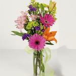 Reference # JBS 300
$34.99

assorted  lilies, gerbera daisys, alstromeria , mums and stattice. Perfect for bedside tbale.