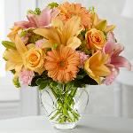 Reference # BYD
starting at $ 49.00
This Bouquet is sure to lift their spirits with each exquisite bloom. Peach roses, gerbera daisies and Asiatic lilies bring a soft energy to this bouquet.