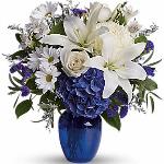 Reference # T209
Starting at $ 47.95
Brighten the home with the peace and beauty of a bright blue sky. This beautiful bouquet pairs pure white flowers with deep blue blooms in a gorgeous blue glass vase.