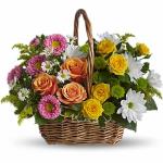 Reference # T213
Starting at $ 59.99

The perfect gift to cheer up a special someone when they need a smile. This colorful arrangement includes orange and yellow roses, pink matsumoto asters, white daisies, green button mums, white monte cassino asters.