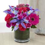 Reference # B21-4969
Starting at $ 44.95
Hot pink roses, carnations, mini carnations and gerbera daisies are accented with brilliant blue iris and lush greens to create a fascinating flower arrangement. Presented in a clear glass cylinder vase lined with a ti leaf ,