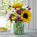 Reference # HG1
Starting at $49.99
Brilliant sunflowers are simply dazzling settled amongst yellow spray roses, magenta mini carnations, white traditional daisies, and lush greens to create a bouquet that has that "fresh from the garden" look. Pressented in an aqua blue designer glass vase.