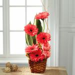 Reference # C10-5173
Starting at $44.95
It's impossible to feel blue when you have gerbera daisies in your life! The happiest flower on earth, coral gerbera daisies mingle with coral roses, perfectly accented by an artist's hand with peach hypericum berries, tropical leaves, and curly willow .