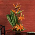 Reference # T77=1A
Starting at $69.95
Send good feng shui someone''s way with this striking arrangement. Orange flowers, gorgeous green ti leaves and small bamboo-like canes are arranged in a balanced, Zen-like composition.