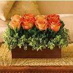 Reference # T72-3a
Starting at $ 59.99
This modern rose arrangement pairs dark orange roses with soft peach roses in a dark bamboo vase. Perfectly arranged pitta negra and myrtle add to the upscale look.