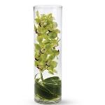 Reference # T82-2A
$ 92.99

Make a modern statement with submerged green orchids! A simple glass cylinder and tropical ti leaves are the only additions to this minimal, Zen arrangement.