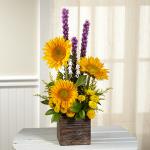 Reference  #  C5-5152
Starting at $ 52.99
 Bold yellow sunflowers catch the eye at every turn accented with yellow button poms, purple liatris, yellow solidago, and lush greens arranged artistically in a square wooden container that gives it a natural, rustic look they will love.