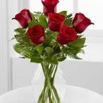 Reference # E4-4822
49.99
The Simply Enchanting™ Rose Bouquet  brings together lush red roses to make a lasting impression.Six red roses are simply accented with a variety of fresh greens and perfectly situated in a classic clear glass vase.